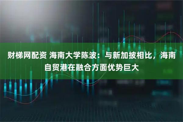 财梯网配资 海南大学陈波：与新加披相比，海南自贸港在融合方面优势巨大