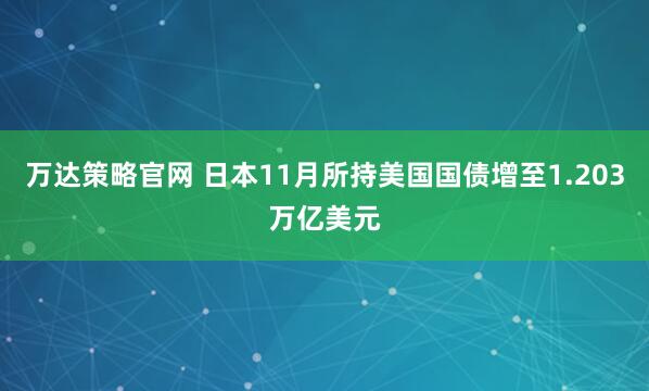 万达策略官网 日本11月所持美国国债增至1.203万亿美元